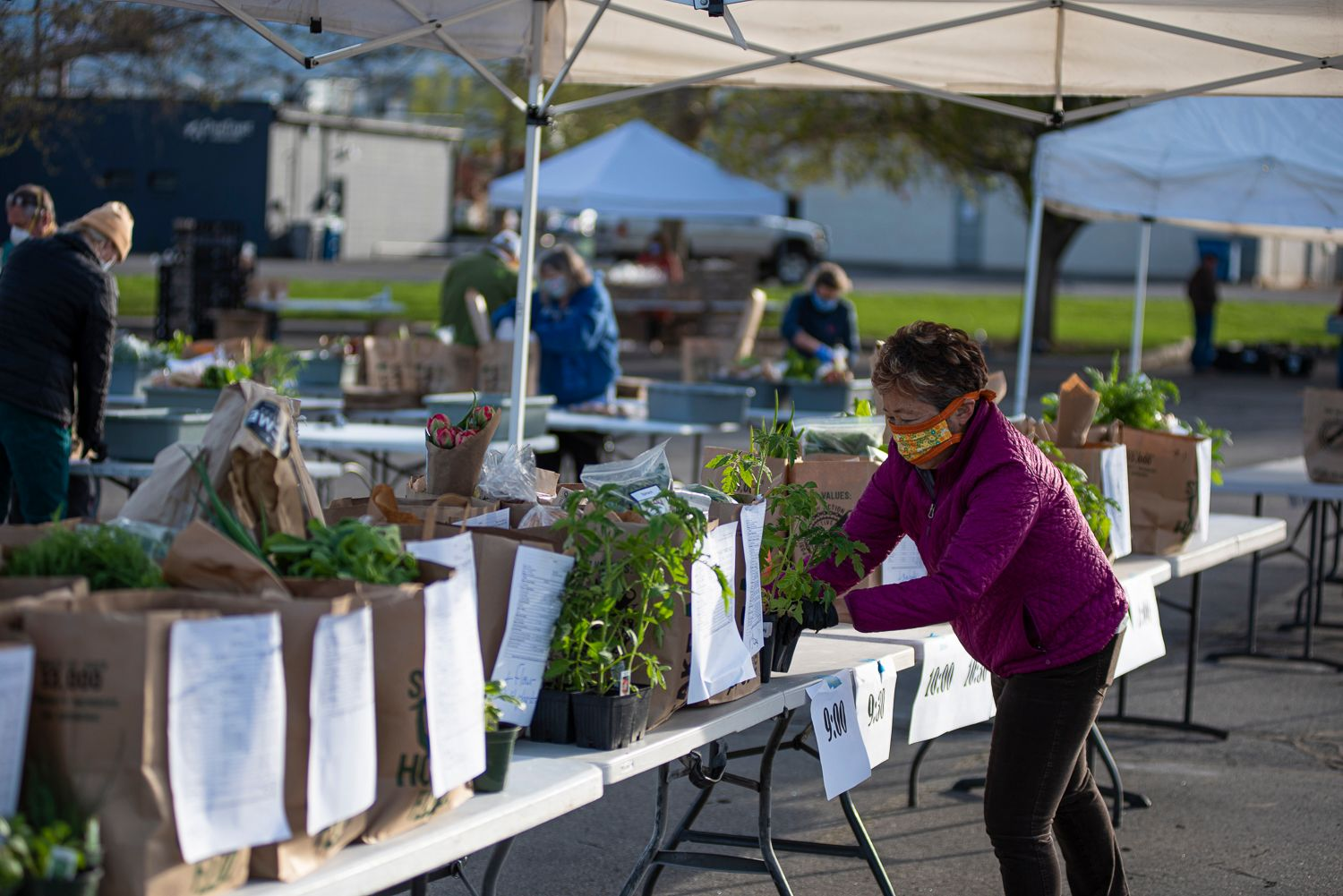 Making Markets Work: How the pandemic created a new customer base for the Boise Farmers Market