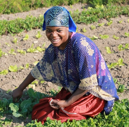 Farming the Pandemic: How Idaho farmers struggle to adapt in the age of COVID-19