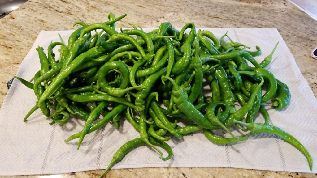 The Epic Journey of a Pepper Seed: How Basque peppers crossed the Atlantic (twice) to become a Boise culinary specialty