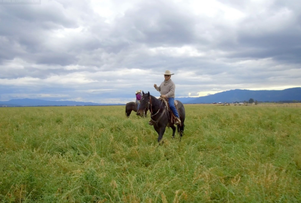 Sustainable, Generational, Regenerative: Meet Desert Mountain Grass-Fed Beef