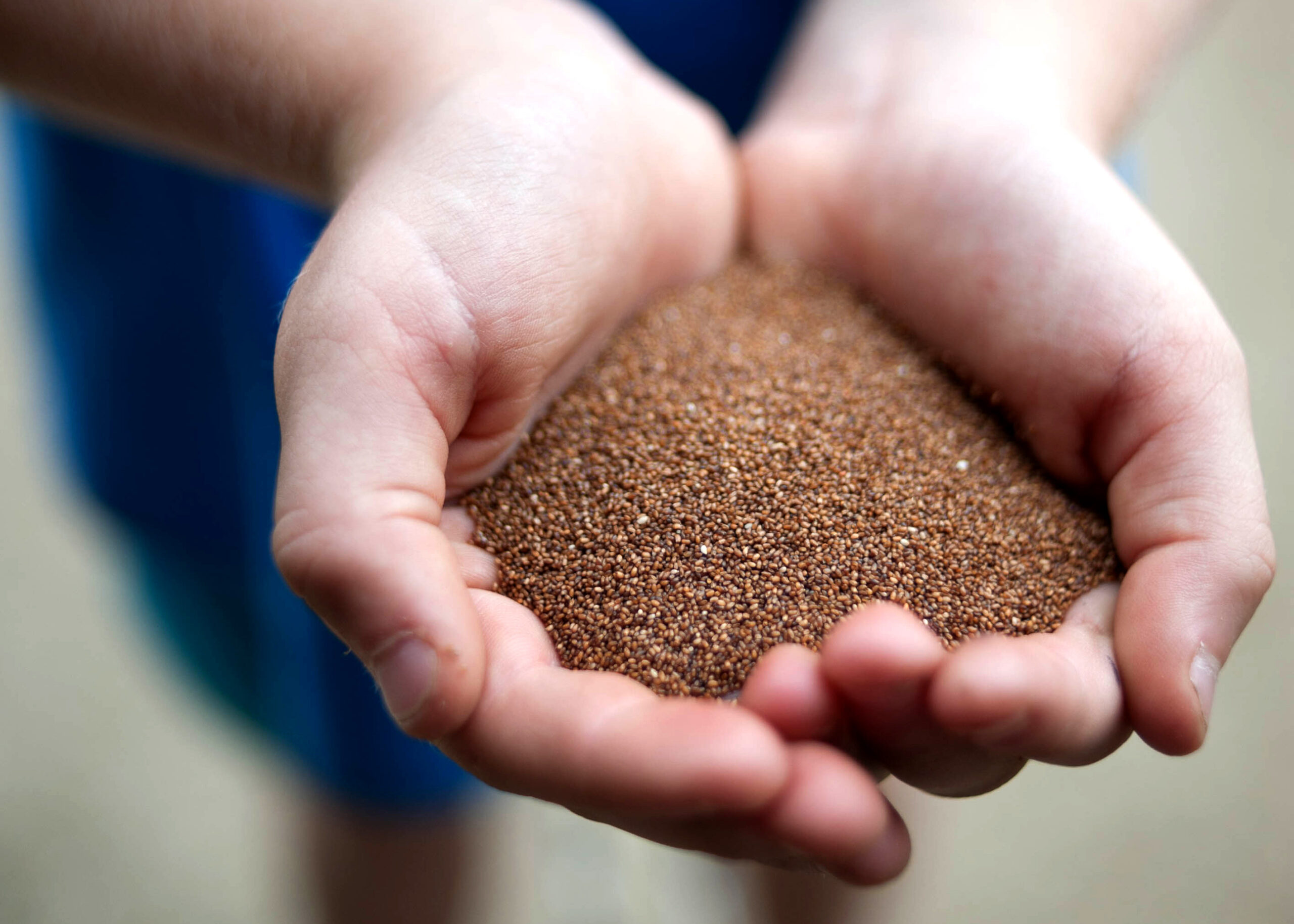 Inside the Teff Tradition