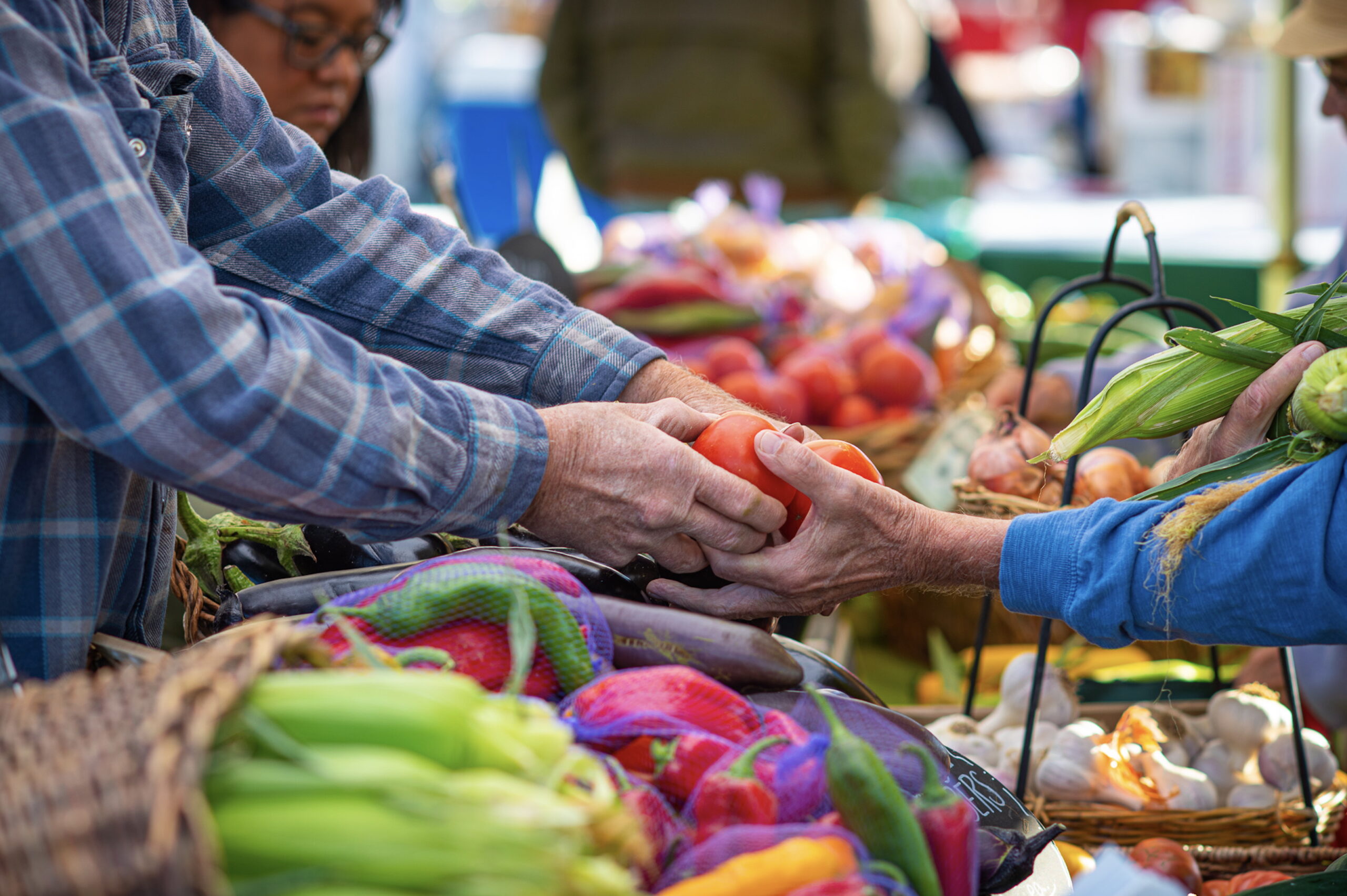 Eat With Intention: A Celebration of the Boise Farmers Market